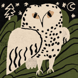 owl