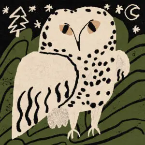 owl